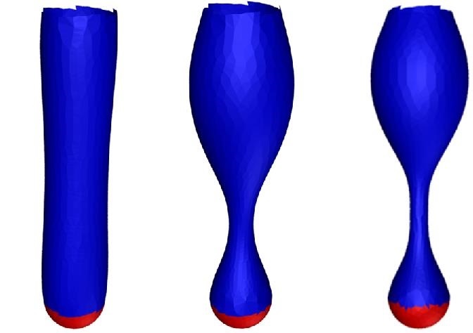 1644638869136044.jpg featured (1).jpg