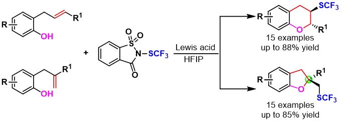 1689733999112497.png 图片7.png