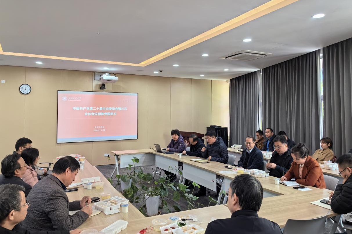 1733105488735276.jpg 图片-1.jpg